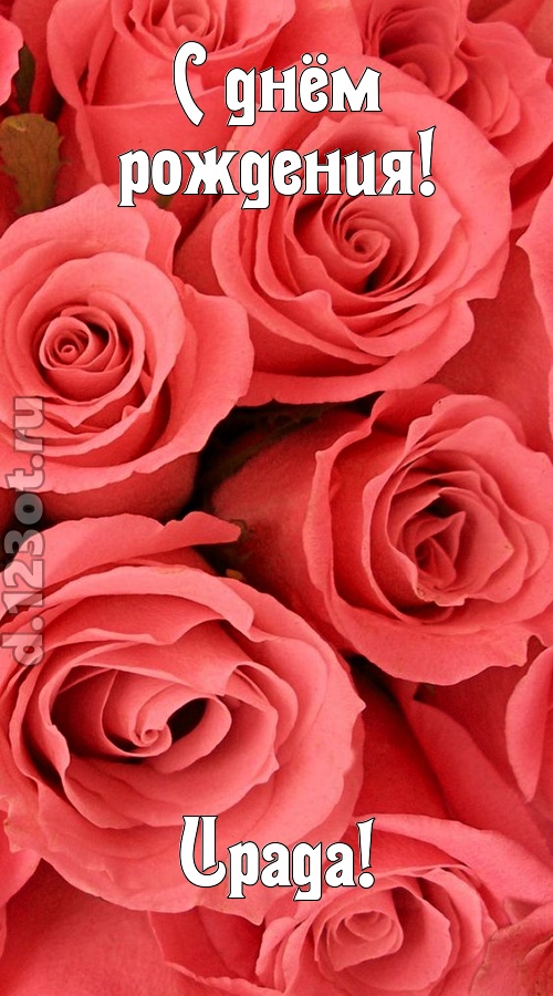 очага хранительница открытка с днём рождения ирада, скачать онлайн бесплатно на iphone для вацап, поздравление ирада