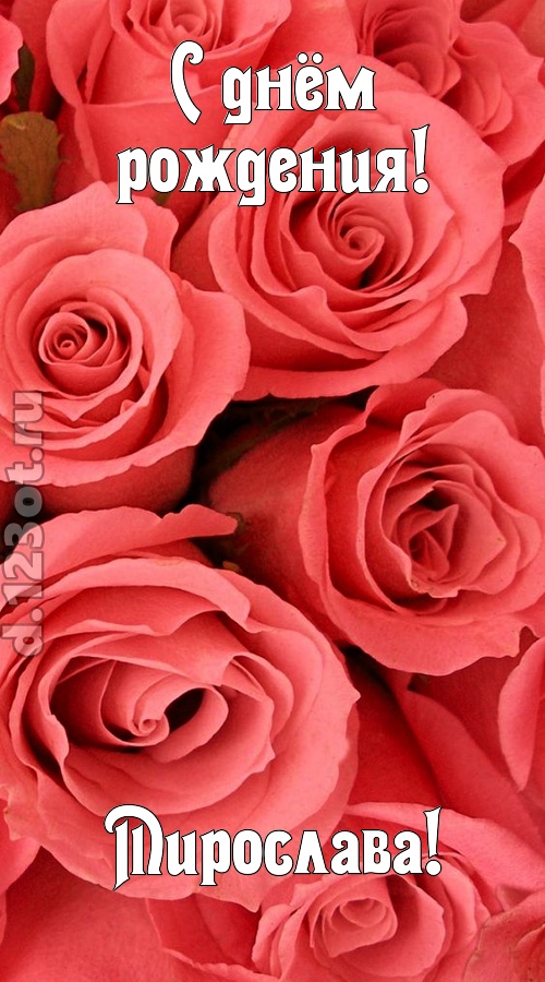 очага хранительница открытка с днём рождения мирослава, скачать онлайн бесплатно на iphone для вацап, поздравление мирослава