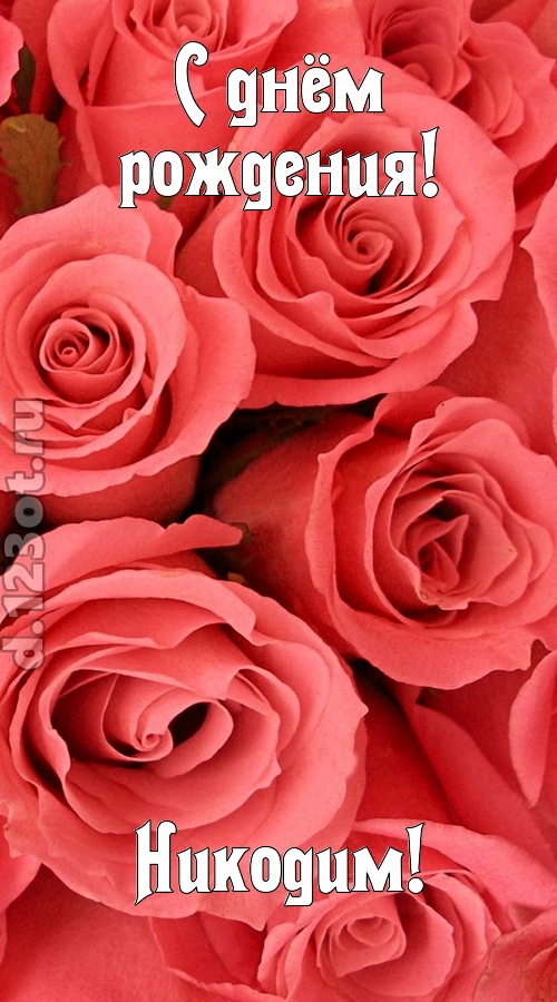 очага хранительница открытка с днём рождения никодим, скачать онлайн бесплатно на iphone для вацап, поздравление никодим