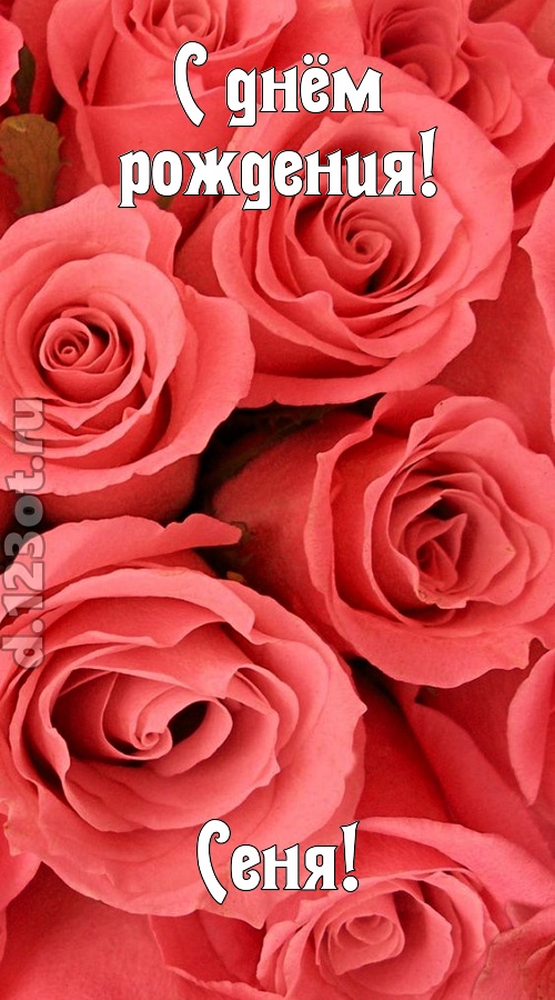 очага хранительница открытка с днём рождения сеня, скачать онлайн бесплатно на iphone для вацап, поздравление сеня