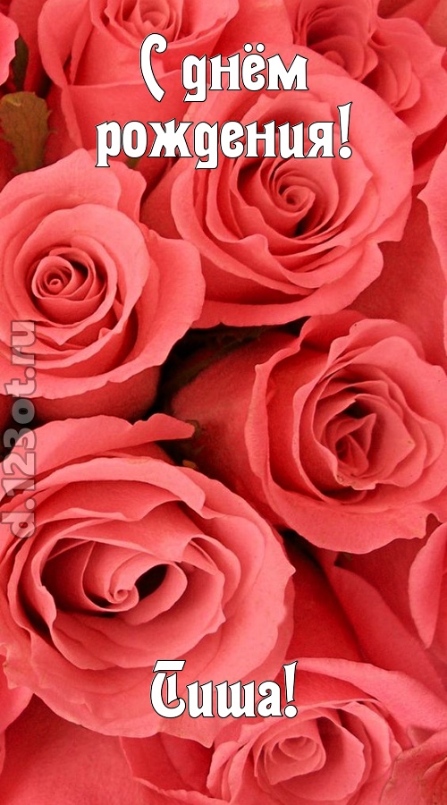 очага хранительница открытка с днём рождения тиша, скачать онлайн бесплатно на iphone для вацап, поздравление тиша