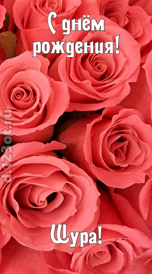 очага хранительница открытка с днём рождения шура, скачать онлайн бесплатно на iphone для вацап, поздравление шура