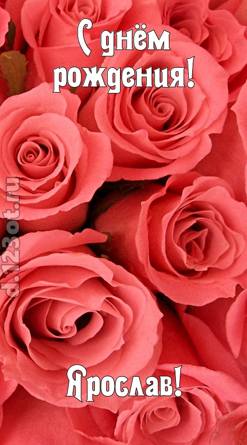 очага хранительница открытка с днём рождения ярослав, скачать онлайн бесплатно на iphone для вацап, поздравление ярослав