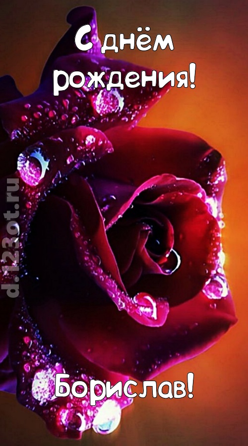 очаровательная открытка с днём рождения борислав, скачать онлайн бесплатно на iphone для вацап, поздравление борислав