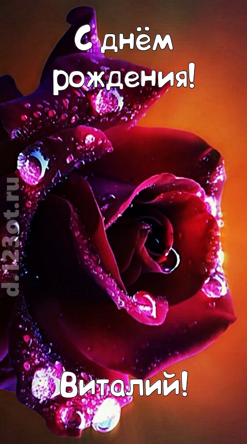 очаровательная открытка с днём рождения виталий, скачать онлайн бесплатно на iphone для вацап, поздравление виталий