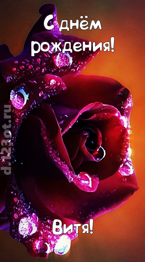 очаровательная открытка с днём рождения витя, скачать онлайн бесплатно на iphone для вацап, поздравление витя