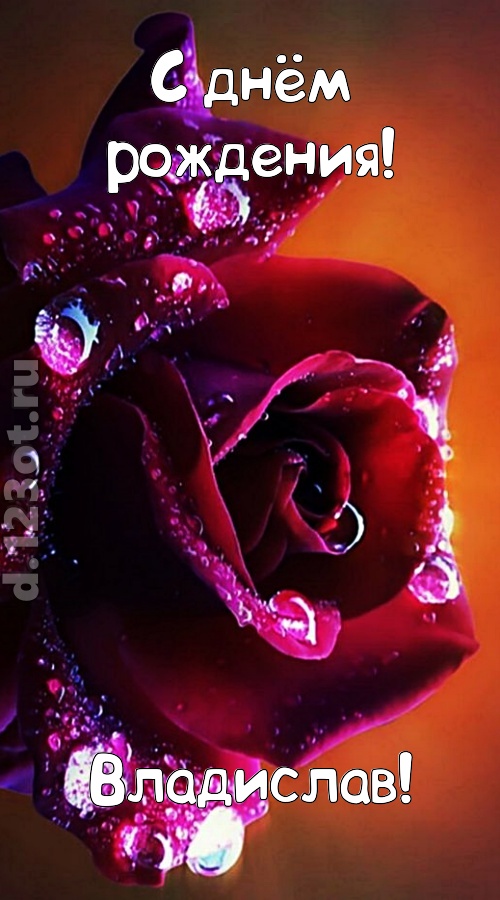 очаровательная открытка с днём рождения владислав, скачать онлайн бесплатно на iphone для вацап, поздравление владислав