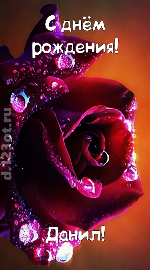 очаровательная открытка с днём рождения данил, скачать онлайн бесплатно на iphone для вацап, поздравление данил