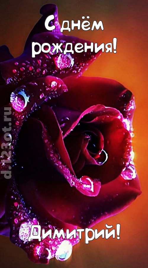 очаровательная открытка с днём рождения димитрий, скачать онлайн бесплатно на iphone для вацап, поздравление димитрий