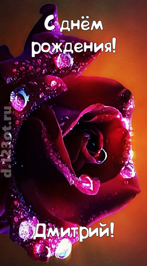 очаровательная открытка с днём рождения дмитрий, скачать онлайн бесплатно на iphone для вацап, поздравление дмитрий