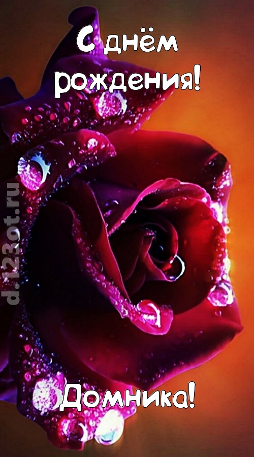 очаровательная открытка с днём рождения домника, скачать онлайн бесплатно на iphone для вацап, поздравление домника