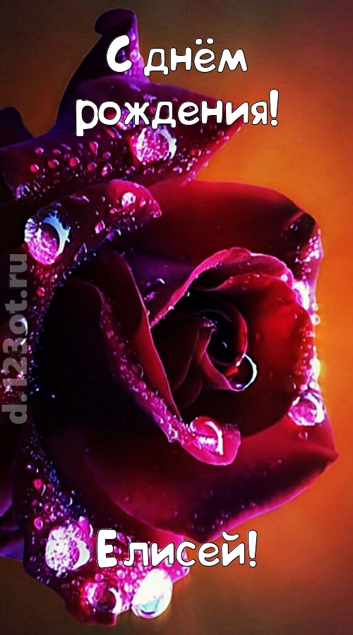 очаровательная открытка с днём рождения елисей, скачать онлайн бесплатно на iphone для вацап, поздравление елисей