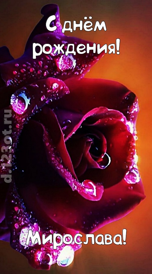 очаровательная открытка с днём рождения мирослава, скачать онлайн бесплатно на iphone для вацап, поздравление мирослава
