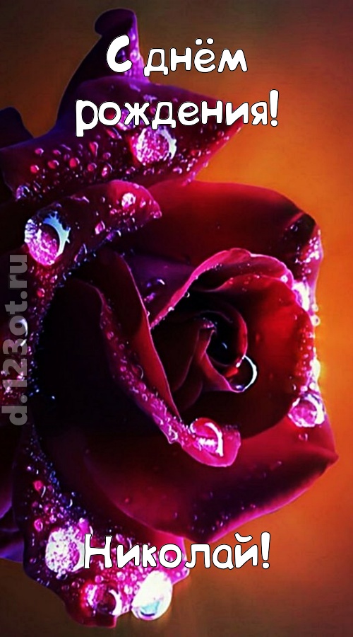 очаровательная открытка с днём рождения николай, скачать онлайн бесплатно на iphone для вацап, поздравление николай