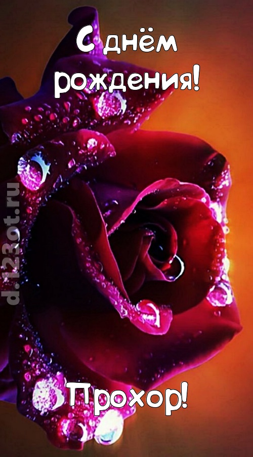 очаровательная открытка с днём рождения прохор, скачать онлайн бесплатно на iphone для вацап, поздравление прохор
