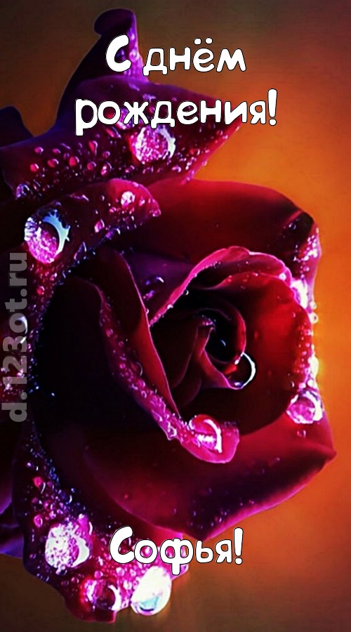 очаровательная открытка с днём рождения софья, скачать онлайн бесплатно на iphone для вацап, поздравление софья