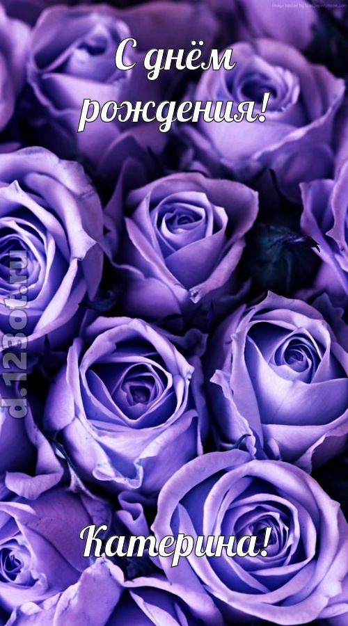 очень популярная открытка с днём рождения катерина, скачать онлайн бесплатно на iphone для вацап, поздравление катерина