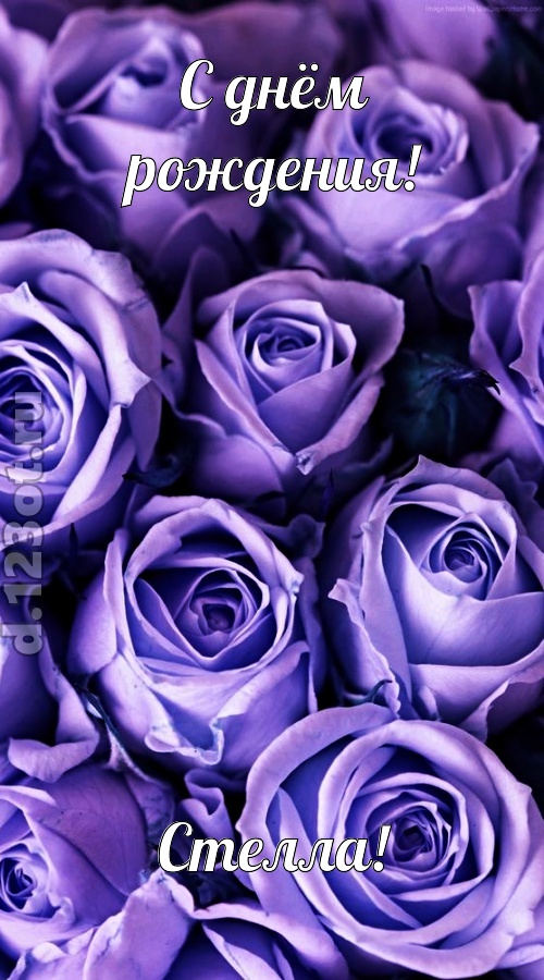 очень популярная открытка с днём рождения стелла, скачать онлайн бесплатно на iphone для вацап, поздравление стелла