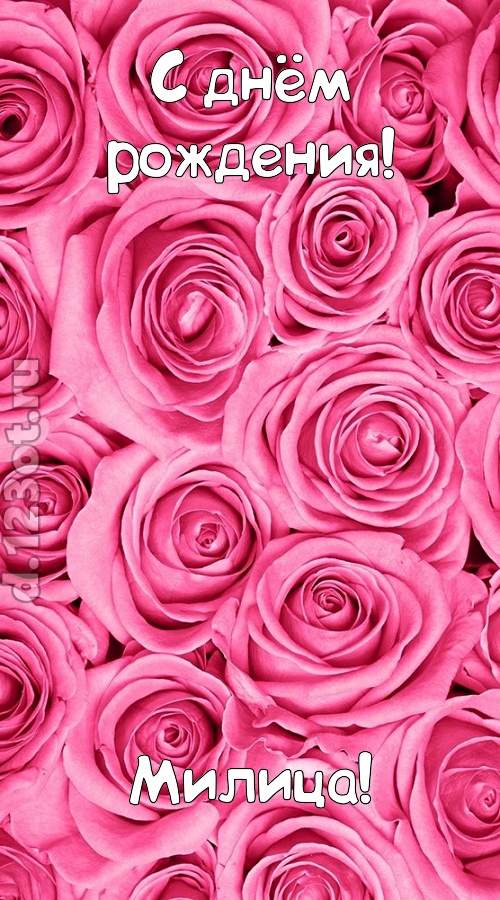 ошеломительно-обалденная открытка с днём рождения милица, скачать онлайн бесплатно на iphone для вацап, поздравление милица