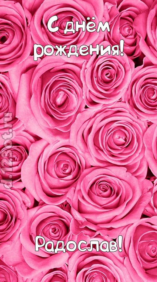 ошеломительно-обалденная открытка с днём рождения радослав, скачать онлайн бесплатно на iphone для вацап, поздравление радослав