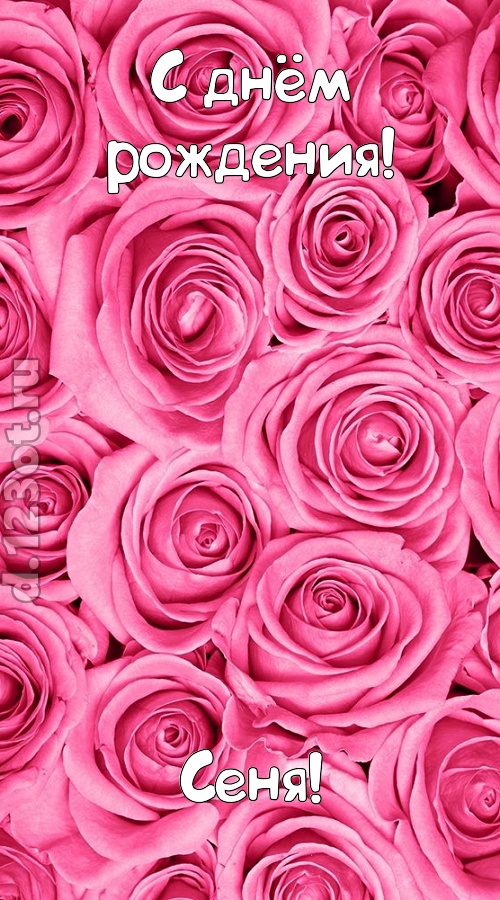 ошеломительно-обалденная открытка с днём рождения сеня, скачать онлайн бесплатно на iphone для вацап, поздравление сеня