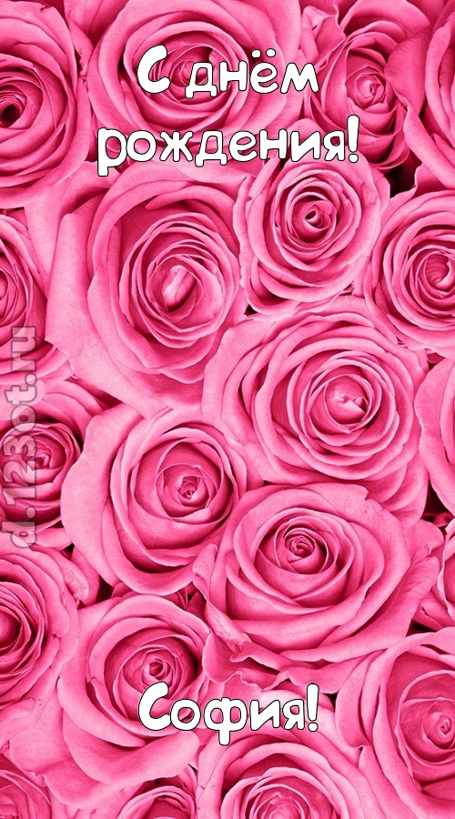 ошеломительно-обалденная открытка с днём рождения софия, скачать онлайн бесплатно на iphone для вацап, поздравление софия