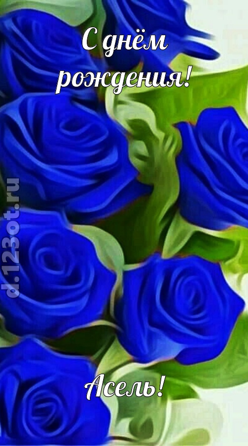 прикольная открытка с днём рождения асель, скачать онлайн бесплатно на iphone для вацап, поздравление асель