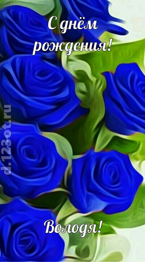 прикольная открытка с днём рождения володя, скачать онлайн бесплатно на iphone для вацап, поздравление володя