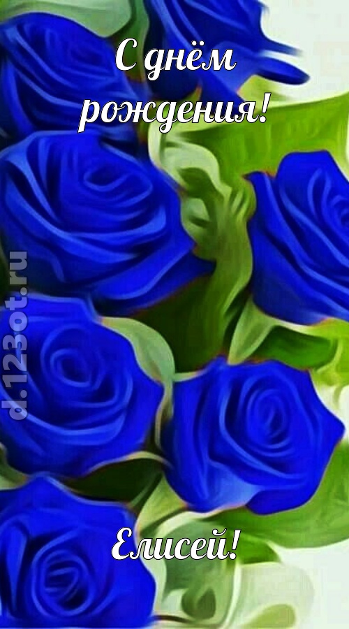 прикольная открытка с днём рождения елисей, скачать онлайн бесплатно на iphone для вацап, поздравление елисей