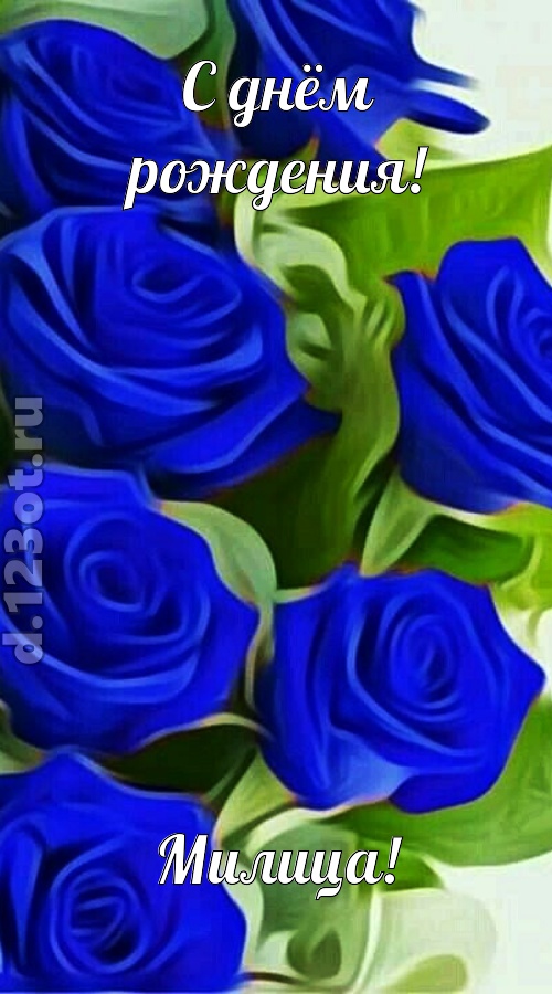 прикольная открытка с днём рождения милица, скачать онлайн бесплатно на iphone для вацап, поздравление милица