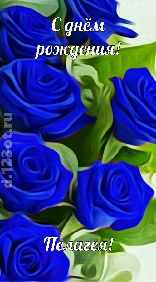 прикольная открытка с днём рождения пелагея, скачать онлайн бесплатно на iphone для вацап, поздравление пелагея