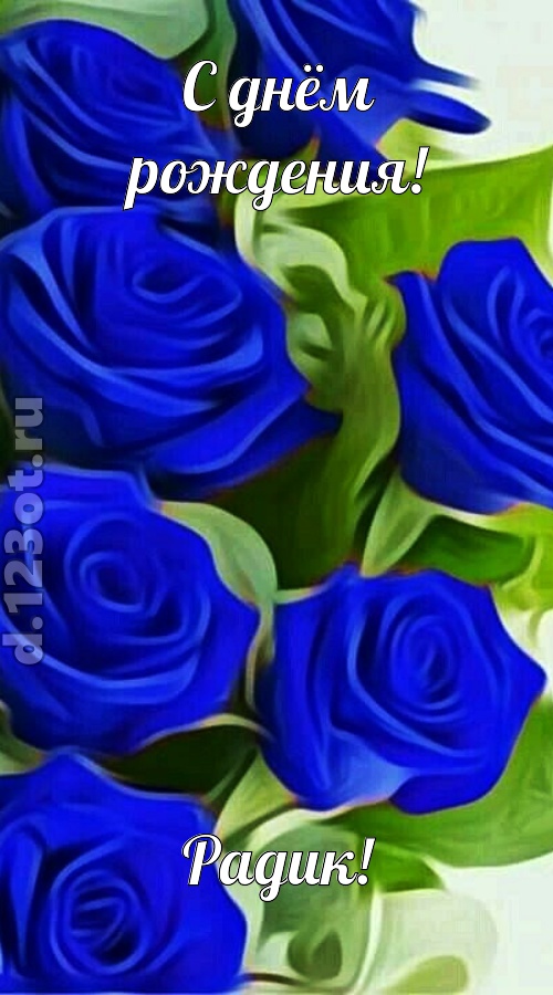 прикольная открытка с днём рождения радик, скачать онлайн бесплатно на iphone для вацап, поздравление радик