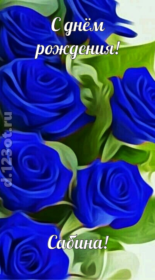 прикольная открытка с днём рождения сабина, скачать онлайн бесплатно на iphone для вацап, поздравление сабина