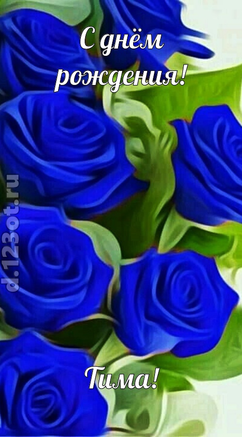 прикольная открытка с днём рождения тима, скачать онлайн бесплатно на iphone для вацап, поздравление тима