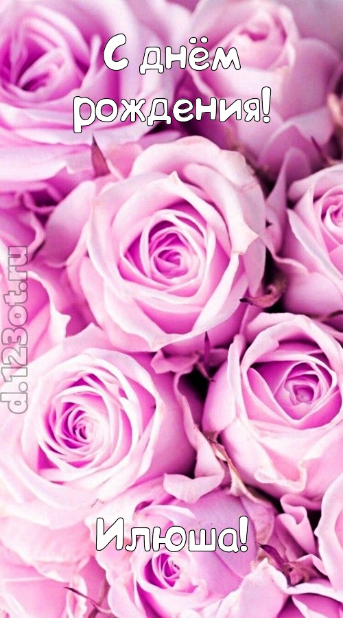 прилежная открытка с днём рождения илюша, скачать онлайн бесплатно на iphone для вацап, поздравление илюша