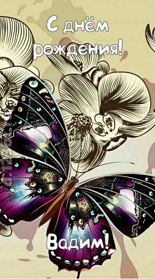 проницательная открытка с днём рождения вадим, скачать онлайн бесплатно на iphone для вацап, поздравление вадим