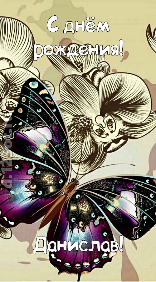 проницательная открытка с днём рождения данислав, скачать онлайн бесплатно на iphone для вацап, поздравление данислав