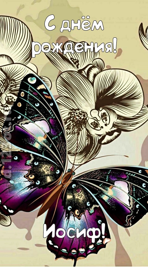 проницательная открытка с днём рождения иосиф, скачать онлайн бесплатно на iphone для вацап, поздравление иосиф