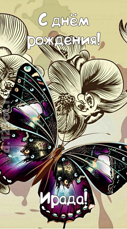 проницательная открытка с днём рождения ирада, скачать онлайн бесплатно на iphone для вацап, поздравление ирада