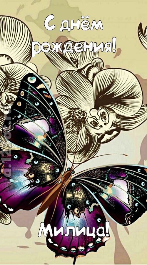 проницательная открытка с днём рождения милица, скачать онлайн бесплатно на iphone для вацап, поздравление милица