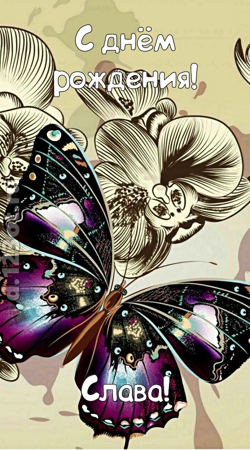 проницательная открытка с днём рождения слава, скачать онлайн бесплатно на iphone для вацап, поздравление слава
