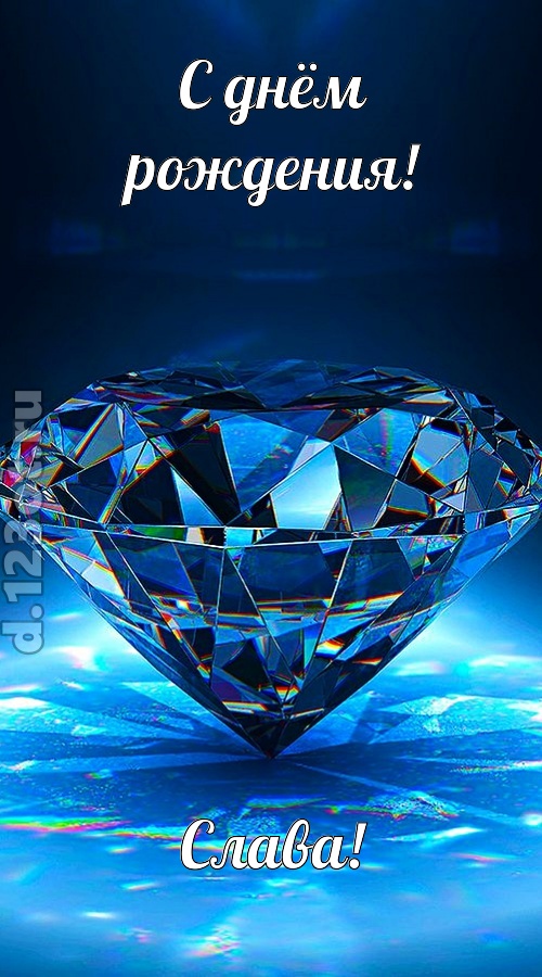 пушистая открытка с днём рождения слава, скачать онлайн бесплатно на iphone для вацап, поздравление слава