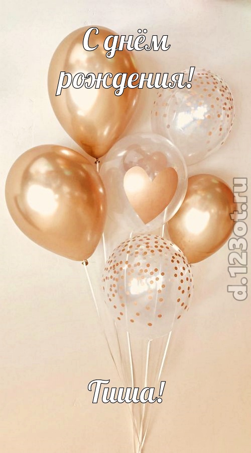 спокойная открытка с днём рождения тиша, скачать онлайн бесплатно на iphone для вацап, поздравление тиша