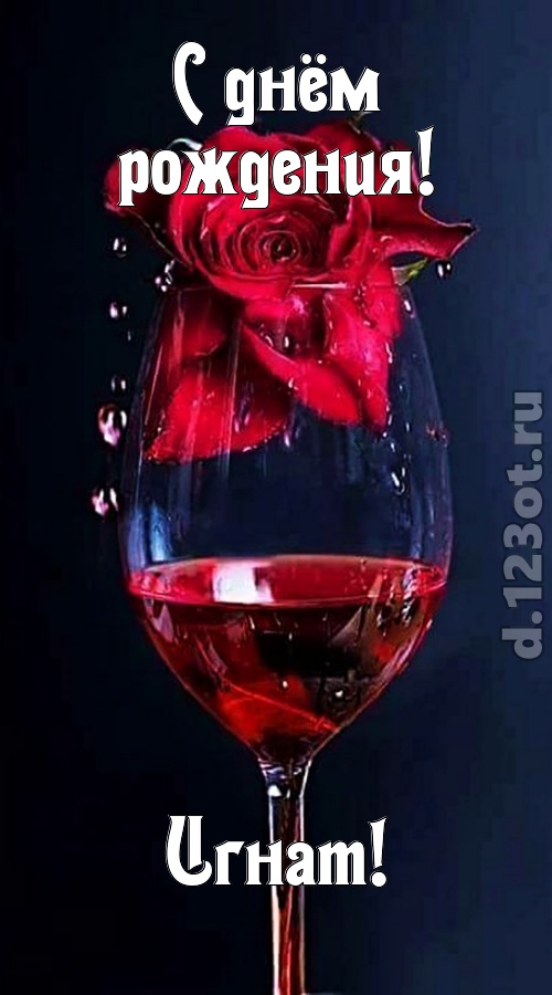 сумасшедшая открытка с днём рождения игнат, скачать онлайн бесплатно на iphone для вацап, поздравление игнат