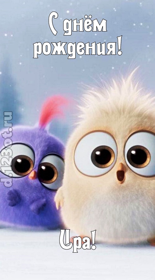 вежливая открытка с днём рождения ира, скачать онлайн бесплатно на iphone для вацап, поздравление ира