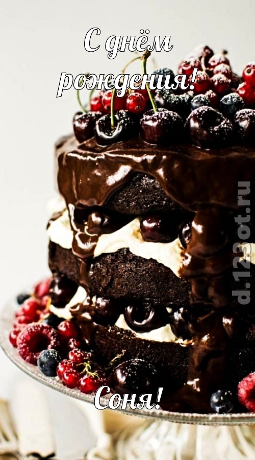 удачливая открытка с днём рождения соня, скачать онлайн бесплатно на iphone для вацап, поздравление соня