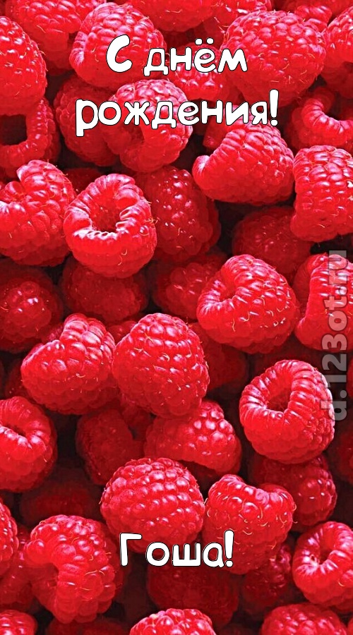 согрешающая открытка с днём рождения гоша, скачать онлайн бесплатно на iphone для вацап, поздравление гоша