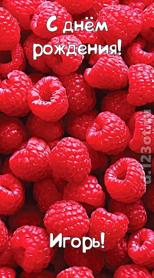 согрешающая открытка с днём рождения игорь, скачать онлайн бесплатно на iphone для вацап, поздравление игорь