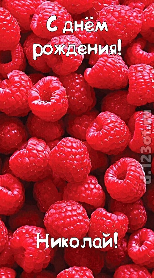 согрешающая открытка с днём рождения николай, скачать онлайн бесплатно на iphone для вацап, поздравление николай