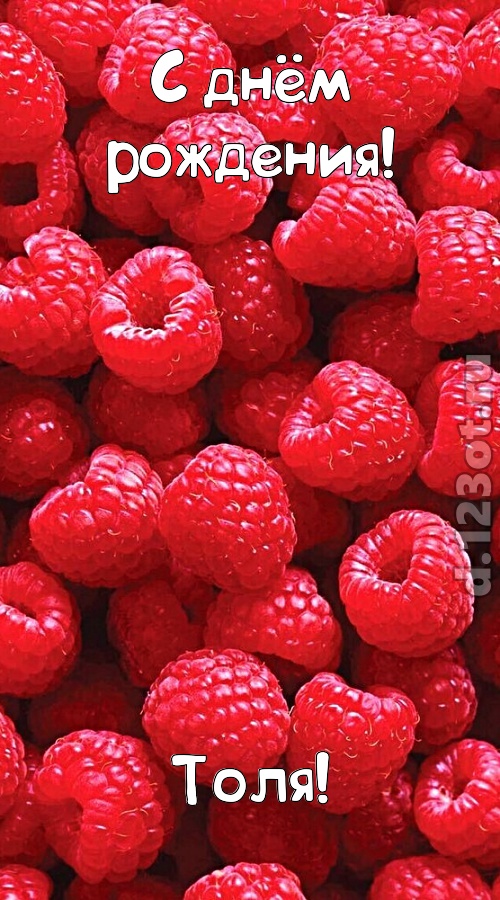 согрешающая открытка с днём рождения толя, скачать онлайн бесплатно на iphone для вацап, поздравление толя